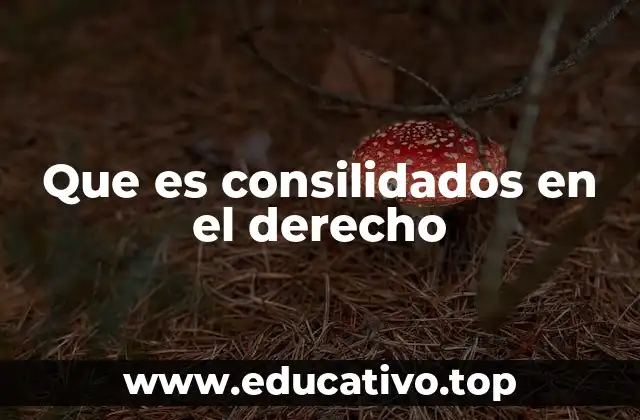Que es consilidados en el derecho