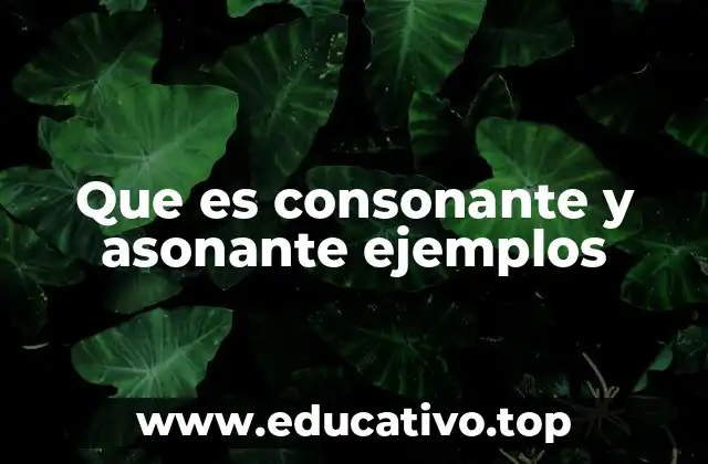 Que es consonante y asonante ejemplos