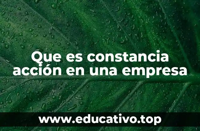 Que es constancia acción en una empresa