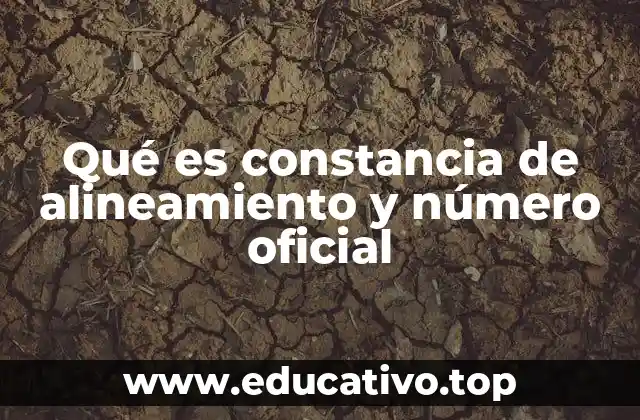Qué es constancia de alineamiento y número oficial