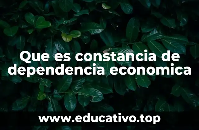 Que es constancia de dependencia economica