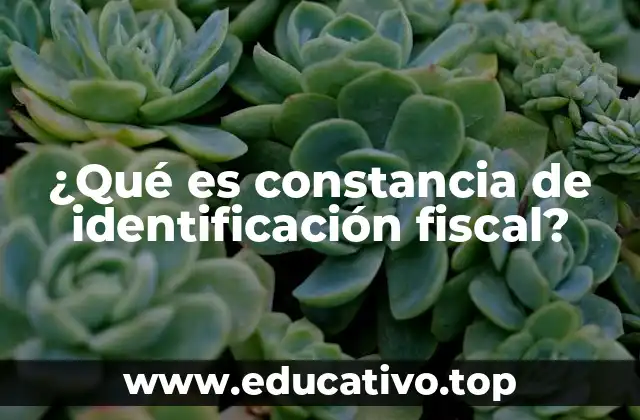 ¿Qué es constancia de identificación fiscal?