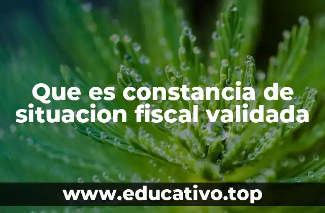 Que es constancia de situacion fiscal validada