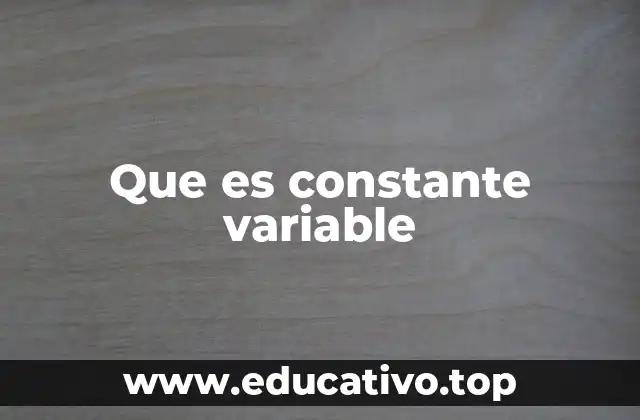 Que es constante variable
