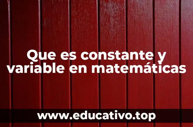 Que es constante y variable en matemáticas