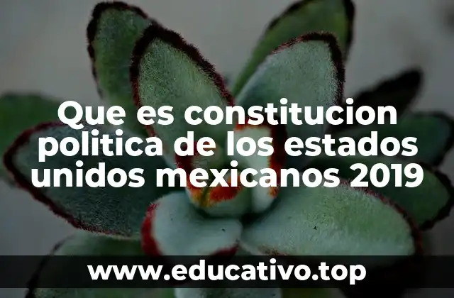 Que es constitucion politica de los estados unidos mexicanos 2019
