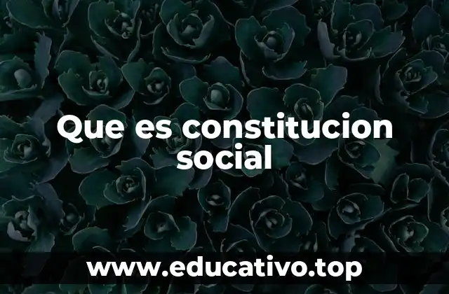 Que es constitucion social