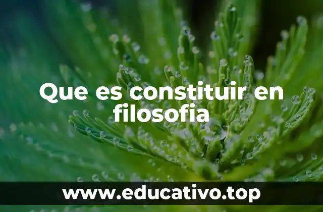 Que es constituir en filosofia