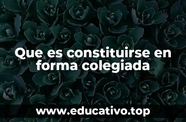 Que es constituirse en forma colegiada