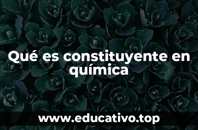 Qué es constituyente en química