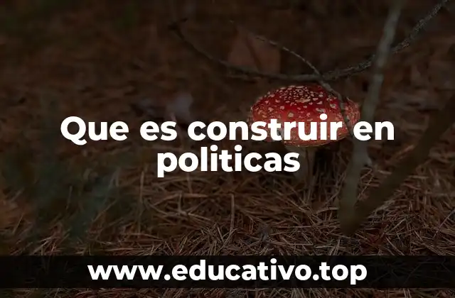 Que es construir en politicas