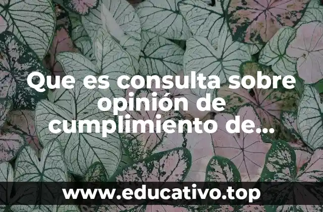 Que es consulta sobre opinión de cumplimiento de obligaciones fiscales
