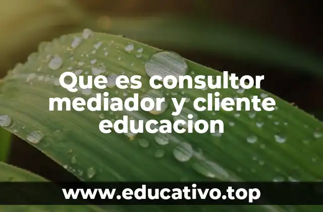 Que es consultor mediador y cliente educacion