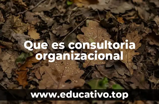 Que es consultoria organizacional