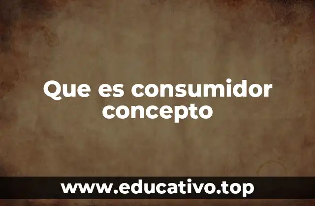 Que es consumidor concepto