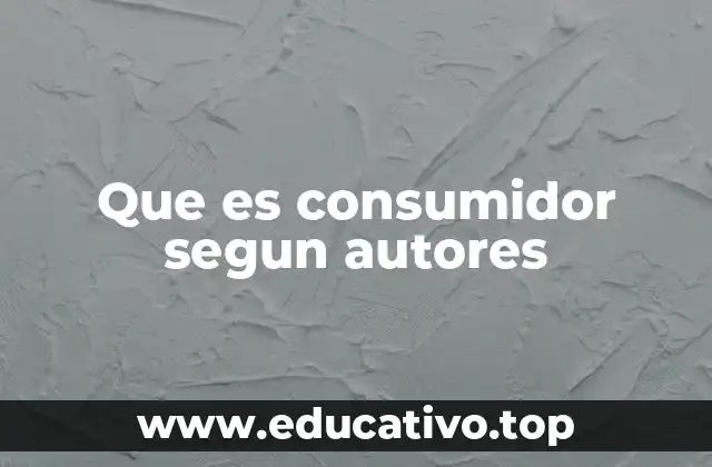 Que es consumidor segun autores