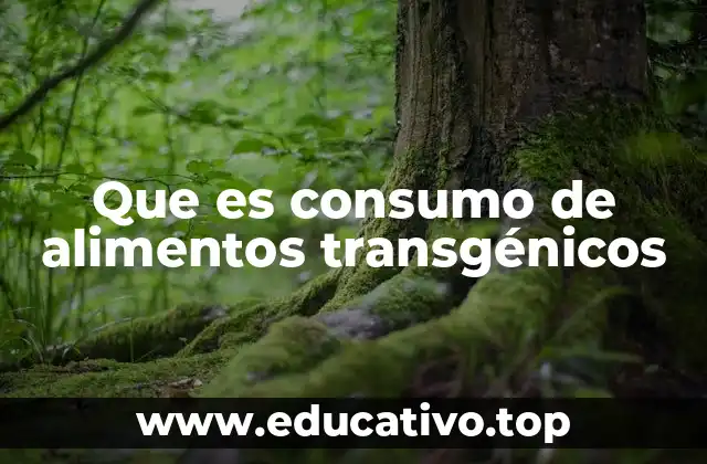 Que es consumo de alimentos transgénicos