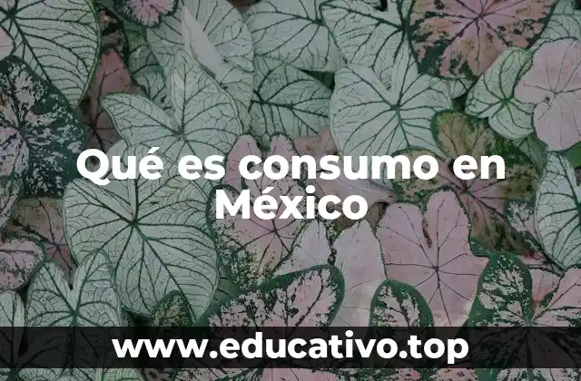 Qué es consumo en México