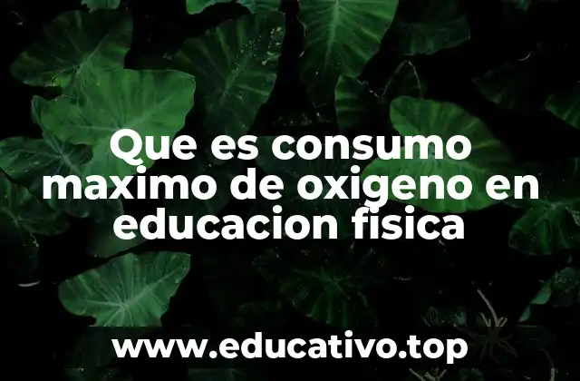 Que es consumo maximo de oxigeno en educacion fisica