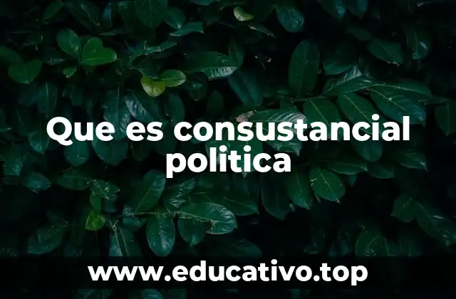 Que es consustancial politica