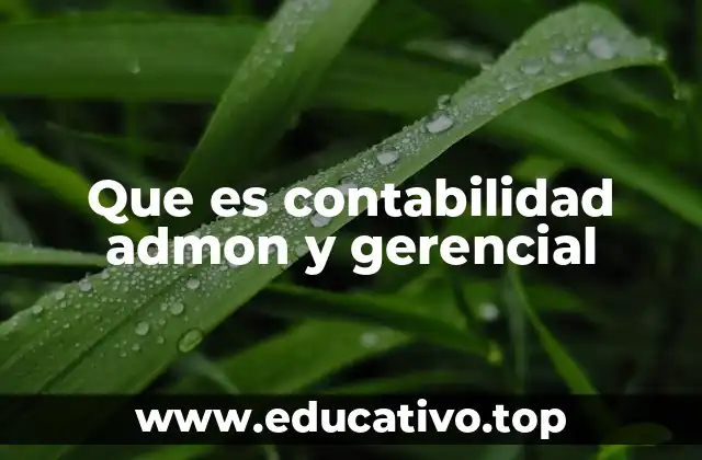 Que es contabilidad admon y gerencial