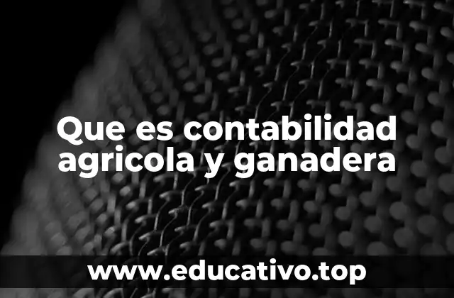 La importancia de la gestión financiera en el sector primario