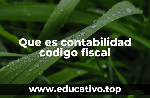 Que es contabilidad codigo fiscal