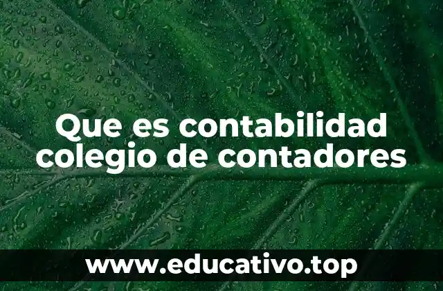 Que es contabilidad colegio de contadores