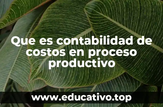 Que es contabilidad de costos en proceso productivo