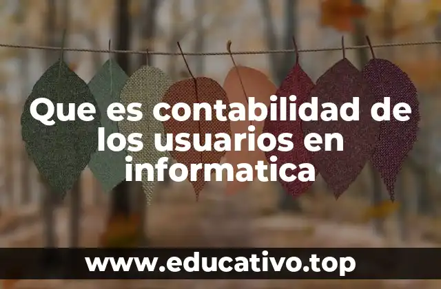 Que es contabilidad de los usuarios en informatica
