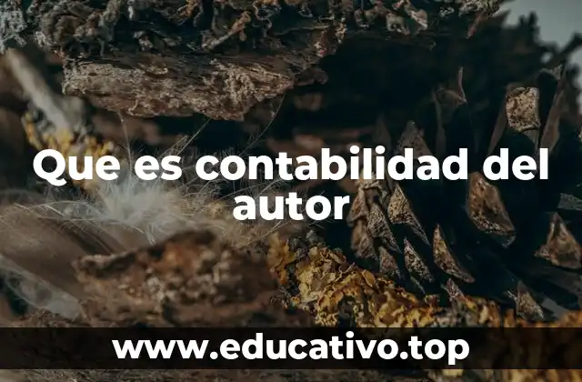 Que es contabilidad del autor