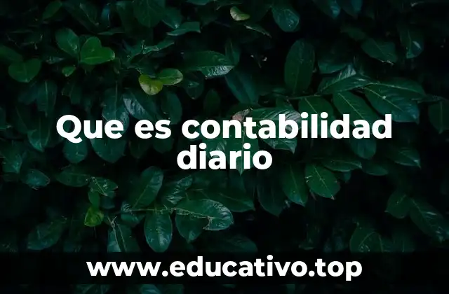 Que es contabilidad diario
