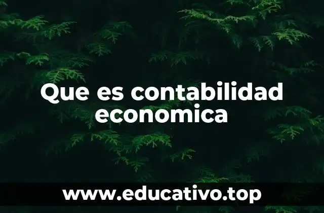 Que es contabilidad economica