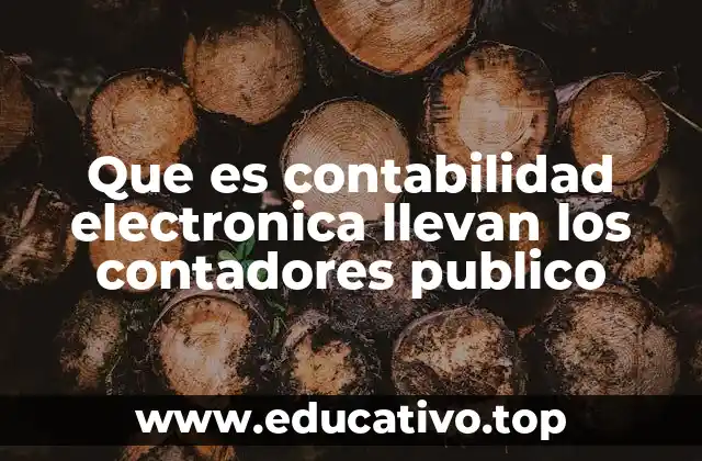 Que es contabilidad electronica llevan los contadores publico