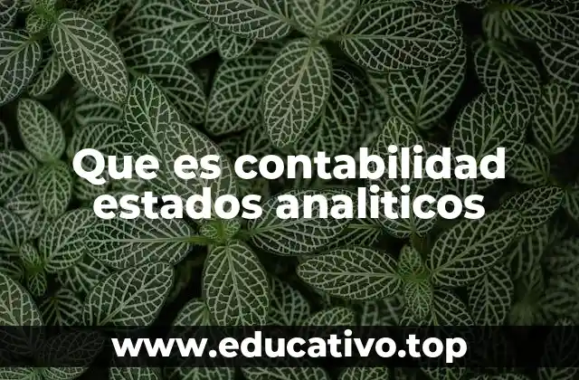 Que es contabilidad estados analiticos