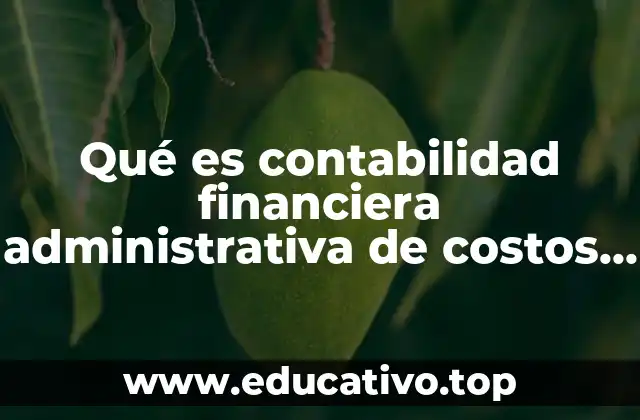Qué es contabilidad financiera administrativa de costos fiscal y gubernamental