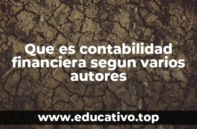 Que es contabilidad financiera segun varios autores