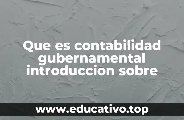 Que es contabilidad gubernamental introduccion sobre