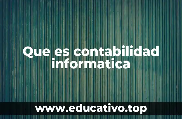 Que es contabilidad informatica