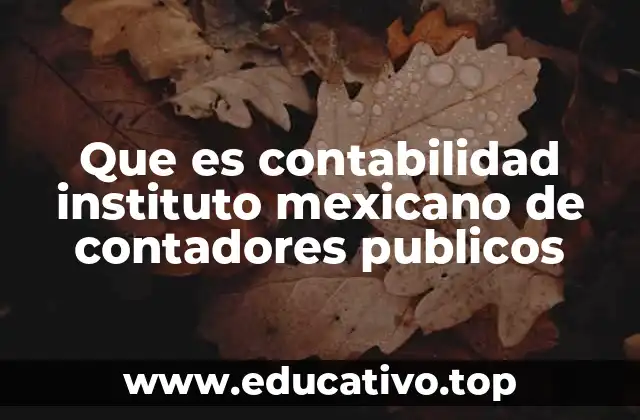 Que es contabilidad instituto mexicano de contadores publicos