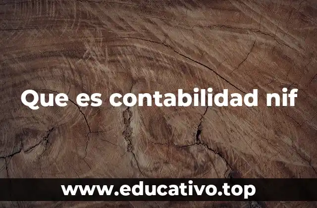 Que es contabilidad nif