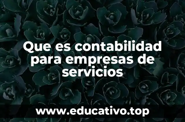 Que es contabilidad para empresas de servicios