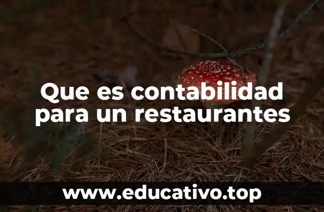 Que es contabilidad para un restaurantes