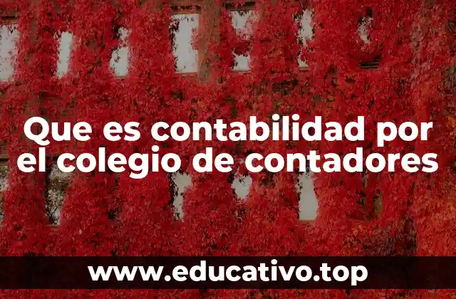 Que es contabilidad por el colegio de contadores