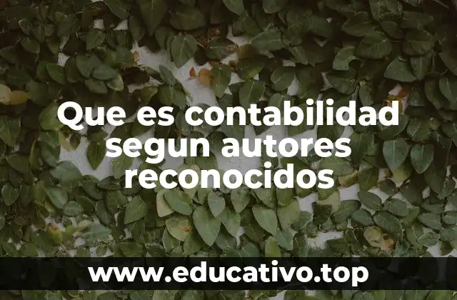 Que es contabilidad segun autores reconocidos