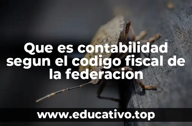 Que es contabilidad segun el codigo fiscal de la federacion