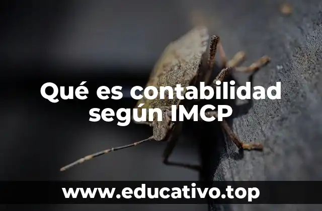 Qué es contabilidad según IMCP