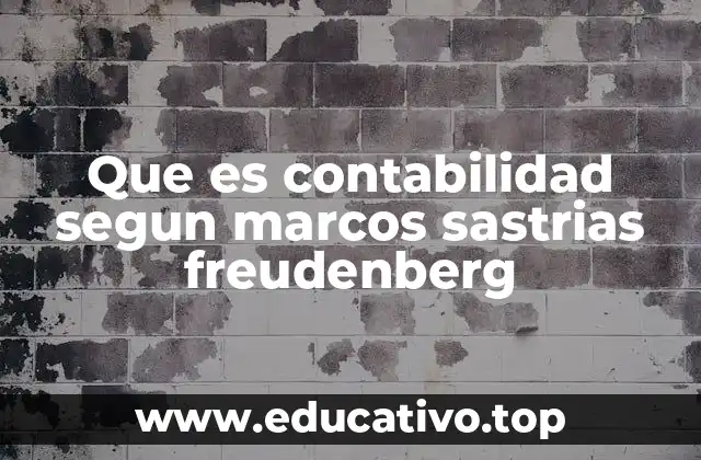 Que es contabilidad segun marcos sastrias freudenberg