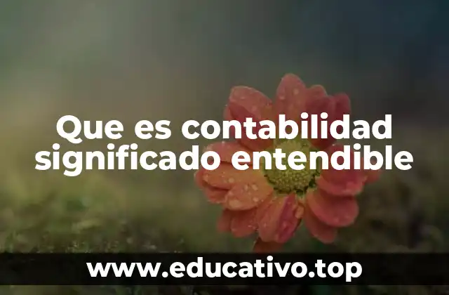 Que es contabilidad significado entendible