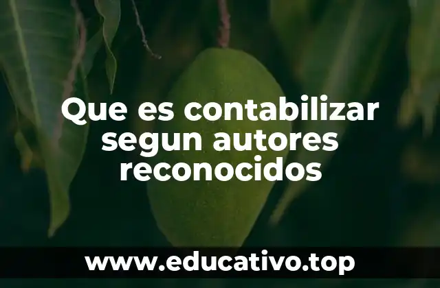 Que es contabilizar segun autores reconocidos